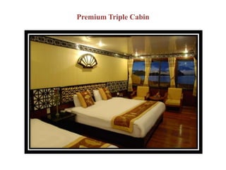 Premium Triple Cabin
 