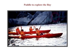 Paddle to explore the Bay
 