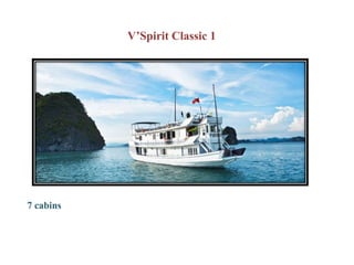 V’Spirit Classic 1




7 cabins
 