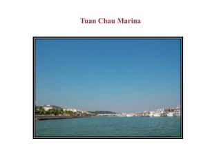 Tuan Chau Marina
 
