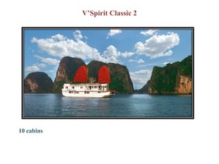 V’Spirit Classic 2




10 cabins
 