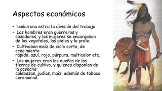 Aspectos económicos
• Tenían una estricta división del trabajo.
• Los hombres eran guerreros y
cazadores, y las mujeres se encargaban
de los vegetales, las pieles y la prole.
• Cultivaban maíz de ciclo corto, de
crecimiento
rápido, azul, rojo, púrpura, multicolor etc.
• Las mujeres eran las dueñas de las
tierras de cultivo, y quienes disponían de
la cosecha:
calabazas, judías, maíz, además de tabaco
ceremonial.
 