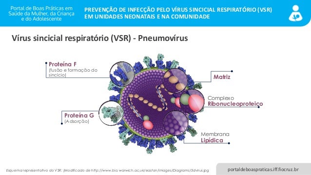 Prevencao De Infeccao Pelo Virus Sincicial Respiratorio Vsr Em Unid