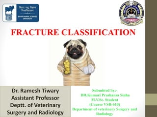 FRACTURE CLASSIFICATION
Submitted by:-
DR.Kumari Prashansa Sinha
M.V.Sc. Student
(Course VSR-610)
Department of veterinary Surgery and
Radiology
Dr. Ramesh Tiwary
Assistant Professor
Deptt. of Veterinary
Surgery and Radiology
 