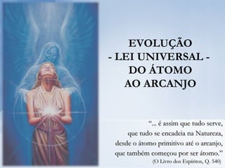 EVOLUÇÃO
- LEI UNIVERSAL -
DO ÁTOMO
AO ARCANJO
““... é assim que tudo serve,... é assim que tudo serve,
que tudo se encadeia na Natureza,que tudo se encadeia na Natureza,
desde o átomo primitivo até o arcanjo,desde o átomo primitivo até o arcanjo,
que também começou por ser átomo.”que também começou por ser átomo.”
(O Livro dos Espíritos, Q. 540)(O Livro dos Espíritos, Q. 540)
 