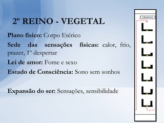 2º REINO - VEGETAL
Plano físico: Corpo Etérico
Sede das sensações físicas: calor, frio,
prazer, 1º despertar
Lei de amor: Fome e sexo
Estado de Consciência: Sono sem sonhos
Expansão do ser: Sensações, sensibilidade
 