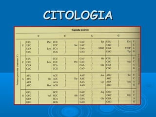 CITOLOGIACITOLOGIA
 