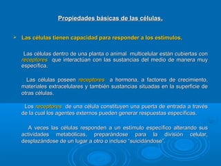 Propiedades básicas de las célulasPropiedades básicas de las células..
 Las células tienen capacidad para responder a los estímulos.Las células tienen capacidad para responder a los estímulos.
Las células dentro de una planta o animal multicelular están cubiertas conLas células dentro de una planta o animal multicelular están cubiertas con
receptoresreceptores que interactúan con las sustancias del medio de manera muyque interactúan con las sustancias del medio de manera muy
específica.específica.
Las células poseenLas células poseen receptoresreceptores a hormona, a factores de crecimiento,a hormona, a factores de crecimiento,
materiales extracelulares y también sustancias situadas en la superficie demateriales extracelulares y también sustancias situadas en la superficie de
otras células.otras células.
LosLos receptoresreceptores de una célula constituyen una puerta de entrada a travésde una célula constituyen una puerta de entrada a través
de la cual los agentes externos pueden generar respuestas específicas.de la cual los agentes externos pueden generar respuestas específicas.
A veces las células responden a un estímulo específico alterando susA veces las células responden a un estímulo específico alterando sus
actividades metabólicas, preparándose para la división celular,actividades metabólicas, preparándose para la división celular,
desplazándose de un lugar a otro o incluso “suicidándose”.desplazándose de un lugar a otro o incluso “suicidándose”.
 