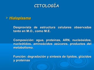 CITOLOGÍACITOLOGÍA
 HialoplasmaHialoplasma
-
Desprovista de estructura celulares observadasDesprovista de estructura celulares observadas
tanto en M.O., como M.E.tanto en M.O., como M.E.
-
Composición: agua, proteínas, ARN, nucleósidos,Composición: agua, proteínas, ARN, nucleósidos,
nucleótidos, aminoácidos azúcares, productos delnucleótidos, aminoácidos azúcares, productos del
metabolismo.metabolismo.
-
Función: degradación y síntesis de lípidos, glúcidosFunción: degradación y síntesis de lípidos, glúcidos
y proteínasy proteínas
 
