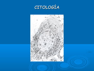 CITOLOGÍACITOLOGÍA
 