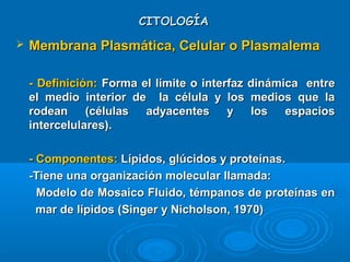 CITOLOGÍACITOLOGÍA
 Membrana Plasmática, Celular o PlasmalemaMembrana Plasmática, Celular o Plasmalema
- Definición:- Definición: Forma el límite o interfaz dinámica entreForma el límite o interfaz dinámica entre
el medio interior de la célula y los medios que lael medio interior de la célula y los medios que la
rodean (células adyacentes y los espaciosrodean (células adyacentes y los espacios
intercelulares).intercelulares).
- Componentes:- Componentes: Lípidos, glúcidos y proteínas.Lípidos, glúcidos y proteínas.
-Tiene una organización molecular llamada:-Tiene una organización molecular llamada:
Modelo de Mosaico Fluido, témpanos de proteínas enModelo de Mosaico Fluido, témpanos de proteínas en
mar de lípidos (Singer y Nicholson, 1970)mar de lípidos (Singer y Nicholson, 1970)
 