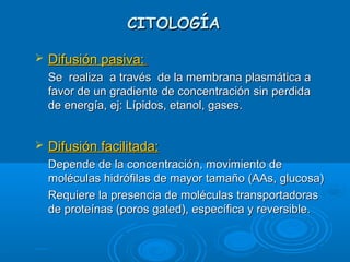 CITOLOGÍACITOLOGÍA
 Difusión pasiva:Difusión pasiva:
Se realiza a través de la membrana plasmática aSe realiza a través de la membrana plasmática a
favor de un gradiente de concentración sin perdidafavor de un gradiente de concentración sin perdida
de energía, ej: Lípidos, etanol, gases.de energía, ej: Lípidos, etanol, gases.
 Difusión facilitada:Difusión facilitada:
Depende de la concentración, movimiento deDepende de la concentración, movimiento de
moléculas hidrófilas de mayor tamaño (AAs, glucosa)moléculas hidrófilas de mayor tamaño (AAs, glucosa)
Requiere la presencia de moléculas transportadorasRequiere la presencia de moléculas transportadoras
de proteínas (poros gated), específica y reversible.de proteínas (poros gated), específica y reversible.
 