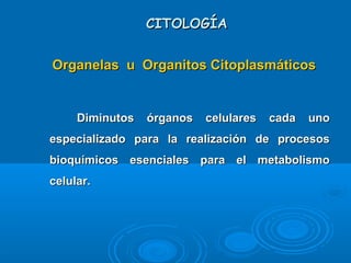 CITOLOGÍACITOLOGÍA
Organelas u Organitos CitoplasmáticosOrganelas u Organitos Citoplasmáticos
Diminutos órganos celulares cada unoDiminutos órganos celulares cada uno
especializado para la realización de procesosespecializado para la realización de procesos
bioquímicos esenciales para el metabolismobioquímicos esenciales para el metabolismo
celular.celular.
 