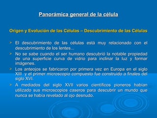 Panorámica general de la célulaPanorámica general de la célula
Origen y Evolución de las Células – Descubrimiento de las CélulasOrigen y Evolución de las Células – Descubrimiento de las Células
 El descubrimiento de las células está muy relacionado con elEl descubrimiento de las células está muy relacionado con el
descubrimiento de los lentes...descubrimiento de los lentes...
 No se sabe cuando el ser humano descubrió la notable propiedadNo se sabe cuando el ser humano descubrió la notable propiedad
de una superficie curva de vidrio para inclinar la luz y formarde una superficie curva de vidrio para inclinar la luz y formar
imágenes.imágenes.
 Los anteojos se fabricaron por primera vez en Europa en el sigloLos anteojos se fabricaron por primera vez en Europa en el siglo
XIII y el primer microscopio compuesto fue construido a finales delXIII y el primer microscopio compuesto fue construido a finales del
siglo XVI.siglo XVI.
 A mediados del siglo XVII varios científicos pioneros habíanA mediados del siglo XVII varios científicos pioneros habían
utilizado sus microscopios caseros para descubrir un mundo queutilizado sus microscopios caseros para descubrir un mundo que
nunca se había revelado al ojo desnudo.nunca se había revelado al ojo desnudo.
 