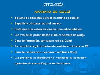 CITOLOGÍACITOLOGÍA
APARATO DE GOLGÍAPARATO DE GOLGÍ
 Sistema de cisternas adosadas, forma de platillo,Sistema de cisternas adosadas, forma de platillo,
 Superficie cóncava hacia el núcleo.Superficie cóncava hacia el núcleo.
 Cisternas mas externas forman una red de túbulos.Cisternas mas externas forman una red de túbulos.
 Las vesículas pasan desde el RE al Aparato de Golgi.Las vesículas pasan desde el RE al Aparato de Golgi.
 Cara de formación, convexa o red cis Golgi.Cara de formación, convexa o red cis Golgi.
 Se completa la glicosilación de proteínas iniciada en RE.Se completa la glicosilación de proteínas iniciada en RE.
 Cara de maduración, cóncava o red trans Golgi.Cara de maduración, cóncava o red trans Golgi.
 Las proteínas se distribuyen a: vesículas de secreciónLas proteínas se distribuyen a: vesículas de secreción
(gránulos de secreción) o a los lisosomas(gránulos de secreción) o a los lisosomas..
 