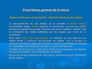 Panorámica general de la célulaPanorámica general de la célula
Origen y Evolución de las Células – Descubrimiento de las CélulasOrigen y Evolución de las Células – Descubrimiento de las Células
 El descubrimiento de las células se le acredita aEl descubrimiento de las células se le acredita a Robert HookeRobert Hooke,,
microscopista inglés.microscopista inglés. HookeHooke examinó al microscopio un trozo de corcho,examinó al microscopio un trozo de corcho,
percibió una aparienciapercibió una apariencia porosa.porosa. El llamó a los poros “celdillas”, debido a queEl llamó a los poros “celdillas”, debido a que
le recordaban las celdas habitadas por los monjes que vivían en unle recordaban las celdas habitadas por los monjes que vivían en un
monasterio.monasterio.
 Entre tantoEntre tanto Anton Van Leeuwenhoek,Anton Van Leeuwenhoek, un holandés, en sus ratos de ocioun holandés, en sus ratos de ocio
tallaba lentes y construía microscopios de calidad. Fue el primero entallaba lentes y construía microscopios de calidad. Fue el primero en
examinar una gota de agua del estanque y observó sorprendido la cantidadexaminar una gota de agua del estanque y observó sorprendido la cantidad
de “animalillos” microscopicos que iban y venian ante sus ojos.de “animalillos” microscopicos que iban y venian ante sus ojos.
 También fue el primero en describir la forma de las bacterias que observóTambién fue el primero en describir la forma de las bacterias que observó
en agua de pimienta y en el raspado de sus dientes.en agua de pimienta y en el raspado de sus dientes.
 No fue sino hasta el decenio de 1830 que se comprobó la gran importanciaNo fue sino hasta el decenio de 1830 que se comprobó la gran importancia
de las células.de las células.
 