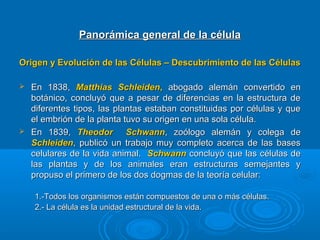 Panorámica general de la célulaPanorámica general de la célula
Origen y Evolución de las Células – Descubrimiento de las CélulasOrigen y Evolución de las Células – Descubrimiento de las Células
 En 1838,En 1838, Matthias SchleidenMatthias Schleiden,, abogado alemán convertido enabogado alemán convertido en
botánico, concluyó que a pesar de diferencias en la estructura debotánico, concluyó que a pesar de diferencias en la estructura de
diferentes tipos, las plantas estaban constituidas por células y quediferentes tipos, las plantas estaban constituidas por células y que
el embrión de la planta tuvo su origen en una sola célula.el embrión de la planta tuvo su origen en una sola célula.
 En 1839,En 1839, Theodor SchwannTheodor Schwann, zoólogo alemán y colega de, zoólogo alemán y colega de
SchleidenSchleiden, publicó un trabajo muy completo acerca de las bases, publicó un trabajo muy completo acerca de las bases
celulares de la vida animal.celulares de la vida animal. SchwannSchwann concluyó que las células deconcluyó que las células de
las plantas y de los animales eran estructuras semejantes ylas plantas y de los animales eran estructuras semejantes y
propuso el primero de los dos dogmas de la teoría celular:propuso el primero de los dos dogmas de la teoría celular:
1.-Todos los organismos están compuestos de una o más células.1.-Todos los organismos están compuestos de una o más células.
2.- La célula es la unidad estructural de la vida.2.- La célula es la unidad estructural de la vida.
 