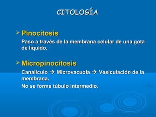 CITOLOGÍACITOLOGÍA
 PinocitosisPinocitosis
Paso a través de la membrana celular de una gotaPaso a través de la membrana celular de una gota
de líquido.de líquido.
 MicropinocitosisMicropinocitosis
CanalículoCanalículo  MicrovacuolaMicrovacuola  Vesiculación de laVesiculación de la
membrana.membrana.
No se forma túbulo intermedio.No se forma túbulo intermedio.
 