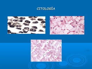CITOLOGÍACITOLOGÍA
 
