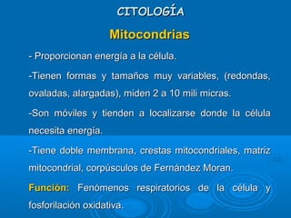 CITOLOGÍACITOLOGÍA
MitocondriasMitocondrias
­ Proporcionan energía a la célula.­ Proporcionan energía a la célula.
­Tienen formas y tamaños muy variables, (redondas,­Tienen formas y tamaños muy variables, (redondas,
ovaladas, alargadas), miden 2 a 10 mili micras.ovaladas, alargadas), miden 2 a 10 mili micras.
­Son móviles y tienden a localizarse donde la célula­Son móviles y tienden a localizarse donde la célula
necesita energía.necesita energía.
­Tiene doble membrana, crestas mitocondriales, matriz­Tiene doble membrana, crestas mitocondriales, matriz
mitocondrial, corpúsculos de Fernández Moran.mitocondrial, corpúsculos de Fernández Moran.
Función:Función: Fenómenos respiratorios de la célula yFenómenos respiratorios de la célula y
fosforilación oxidativa.fosforilación oxidativa.
 