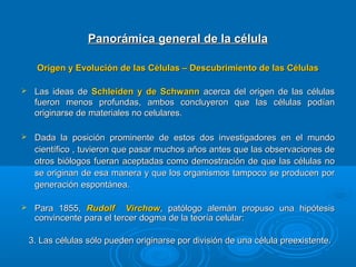 Panorámica general de la célulaPanorámica general de la célula
Origen y Evolución de las Células – Descubrimiento de las CélulasOrigen y Evolución de las Células – Descubrimiento de las Células
 Las ideas deLas ideas de Schleiden y de SchwannSchleiden y de Schwann acerca del origen de las célulasacerca del origen de las células
fueron menos profundas, ambos concluyeron que las células podíanfueron menos profundas, ambos concluyeron que las células podían
originarse de materiales no celulares.originarse de materiales no celulares.
 Dada la posición prominente de estos dos investigadores en el mundoDada la posición prominente de estos dos investigadores en el mundo
científico , tuvieron que pasar muchos años antes que las observaciones decientífico , tuvieron que pasar muchos años antes que las observaciones de
otros biólogos fueran aceptadas como demostración de que las células nootros biólogos fueran aceptadas como demostración de que las células no
se originan de esa manera y que los organismos tampoco se producen porse originan de esa manera y que los organismos tampoco se producen por
generación espontánea.generación espontánea.
 Para 1855,Para 1855, Rudolf VirchowRudolf Virchow, patólogo alemán propuso una hipótesis, patólogo alemán propuso una hipótesis
convincente para el tercer dogma de la teoría celular:convincente para el tercer dogma de la teoría celular:
3. Las células sólo pueden originarse por división de una célula preexistente.3. Las células sólo pueden originarse por división de una célula preexistente.
 