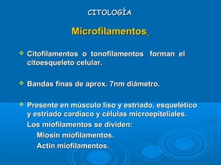 CITOLOGÍACITOLOGÍA
MicrofilamentosMicrofilamentos
 Citofilamentos o tonofilamentos forman elCitofilamentos o tonofilamentos forman el
citoesqueleto celular.citoesqueleto celular.
 Bandas finas de aprox. 7nm diámetro.Bandas finas de aprox. 7nm diámetro.
 Presente en músculo liso y estriado, esqueléticoPresente en músculo liso y estriado, esquelético
y estriado cardiaco y células microepiteliales.y estriado cardiaco y células microepiteliales.
Los miofilamentos se dividen:Los miofilamentos se dividen:
­
Miosin miofilamentos.Miosin miofilamentos.
­
Actin miofilamentos.Actin miofilamentos.
 