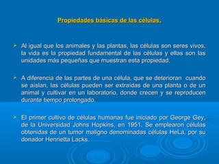 Propiedades básicas de las célulasPropiedades básicas de las células..
 Al igual que los animales y las plantas, las células son seres vivos,Al igual que los animales y las plantas, las células son seres vivos,
la vida es la propiedad fundamental de las células y ellas son lasla vida es la propiedad fundamental de las células y ellas son las
unidades más pequeñas que muestran esta propiedad.unidades más pequeñas que muestran esta propiedad.
 A diferencia de las partes de una célula, que se deterioran cuandoA diferencia de las partes de una célula, que se deterioran cuando
se aíslan, las células pueden ser extraídas de una planta o de unse aíslan, las células pueden ser extraídas de una planta o de un
animal y cultivar en un laboratorio, donde crecen y se reproducenanimal y cultivar en un laboratorio, donde crecen y se reproducen
durante tiempo prolongado.durante tiempo prolongado.
 El primer cultivo de células humanas fue iniciado por George Gey,El primer cultivo de células humanas fue iniciado por George Gey,
de la Universidad Johns Hopkins, en 1951. Se emplearon célulasde la Universidad Johns Hopkins, en 1951. Se emplearon células
obtenidas de un tumor maligno denominadas células HeLa, por suobtenidas de un tumor maligno denominadas células HeLa, por su
donador Henrietta Lacks.donador Henrietta Lacks.
 