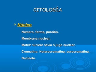 CITOLOGÍACITOLOGÍA
 NúcleoNúcleo
­
Número, forma, porción.Número, forma, porción.
­
Membrana nuclear.Membrana nuclear.
­
Matriz nuclear savia o jugo nuclear.Matriz nuclear savia o jugo nuclear.
­
Cromatina: Heterocromatina, eurocromatina.Cromatina: Heterocromatina, eurocromatina.
­
Nucleolo.Nucleolo.
 