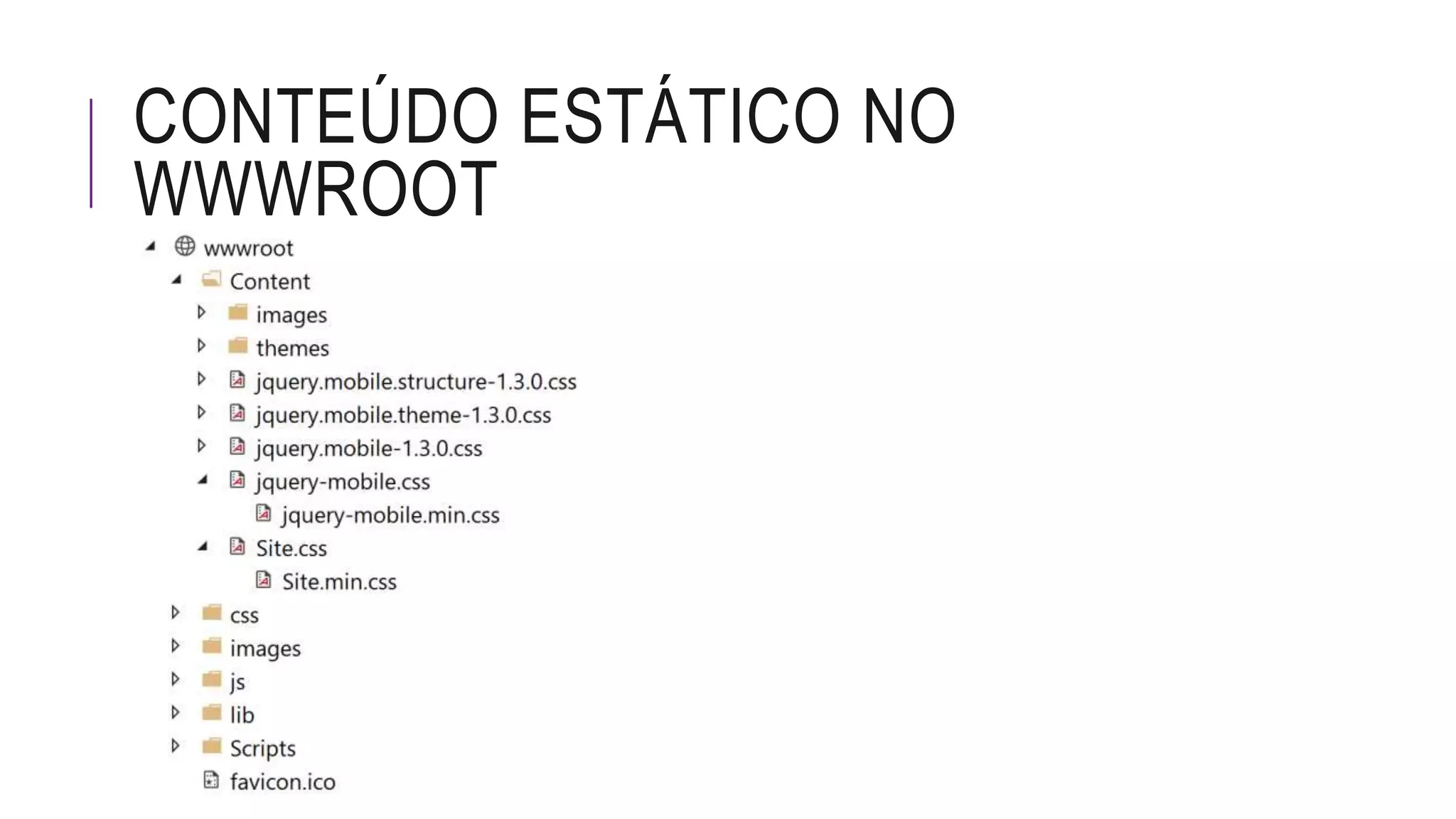 CONTEÚDO ESTÁTICO NO
WWWROOT
 