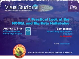 A Practical Look at the
        NOSQL and Big Data Hullabaloo
Andrew J. Brust                     Sam Bisbee
CEO and Founder           Senior Doing Stuff Person
Blue Badge Insights                        Cloudant
                                       (In Absentia)


                                 Level: Intermediate
 