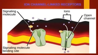 TYPES OF CELL SIGNALING RECEPTORS | PPTX