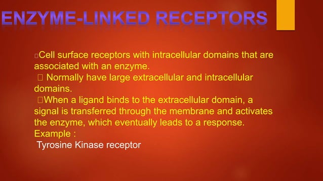 TYPES OF CELL SIGNALING RECEPTORS | PPTX | Endocrine and Metabolic ...