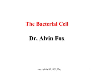 Dr. Alvin Fox The Bacterial Cell 