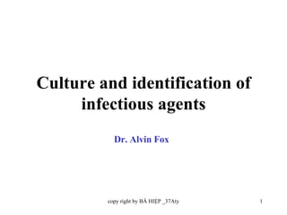 Culture and identification of infectious agents Dr. Alvin Fox 