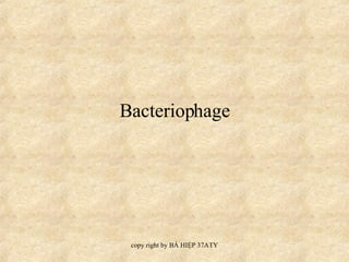 Bacteriophage 