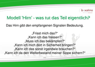 Modell 'Hirn' - was tut das Teil eigentlich?
 Das Hirn gibt den empfangenen Signalen Bedeutung.

                   „Frisst mich das?“
                „Kann ich das fressen?“
              „Muss ich das bekämpfen?“
      „Kann ich mich dort in Sicherheit bringen?“
       „Kann ich das sonst irgendwie brauchen?“
„Kann ich da den Weiterbestand meiner Sippe sichern?“
                            ...
 