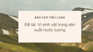 Đề tài: Vi sinh vật trong sản
xuất nước tương
BÁO CÁO TIỂU LUẬN
 