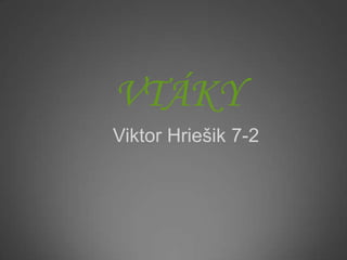 VTÁKY
Viktor Hriešik 7-2
 