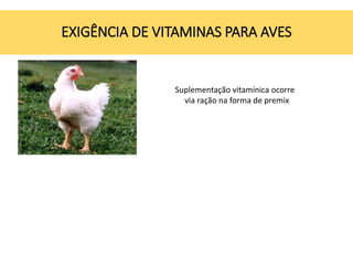 EXIGÊNCIA DE VITAMINAS PARA AVES
Suplementação vitamínica ocorre
via ração na forma de premix
 