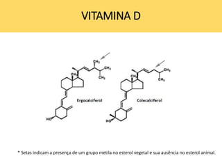 VITAMINA D
* Setas indicam a presença de um grupo metila no esterol vegetal e sua ausência no esterol animal.
 