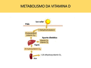 METABOLISMO DA VITAMINA D
 
