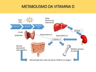 METABOLISMO DA VITAMINA D
 