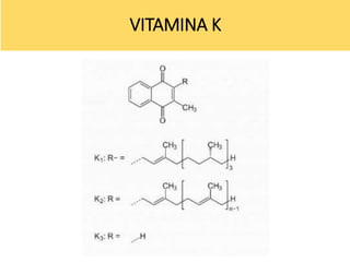 VITAMINA K
 