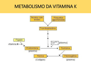 METABOLISMO DA VITAMINA K
 