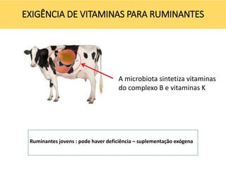 EXIGÊNCIA DE VITAMINAS PARA RUMINANTES
A microbiota sintetiza vitaminas
do complexo B e vitaminas K
Ruminantes jovens : pode haver deficiência – suplementação exógena
 