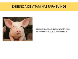 EXIGÊNCIA DE VITAMINAS PARA SUÍNOS
RECOMENDA-SE A SUPLEMENTAÇÃO COM
AS VITAMINAS A, D, E , K. COMPLEXO B
 