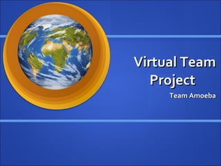 Virtual Team Project Team Amoeba 
