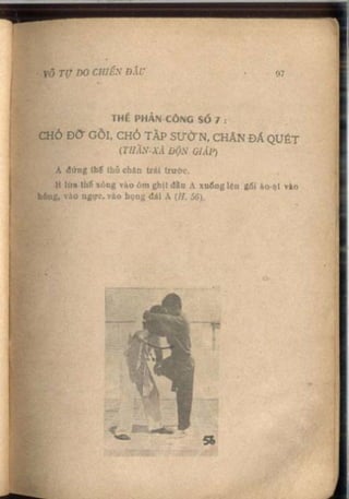 Võ tự do chiến đấu