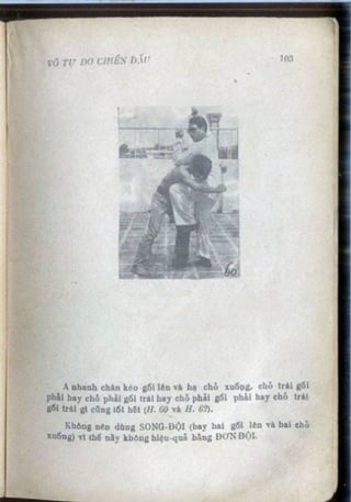 Võ tự do chiến đấu