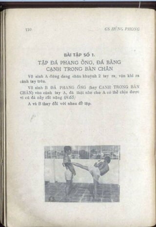 Võ tự do chiến đấu